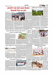 গ্রাম বাংলা  
