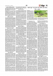 খবর 
