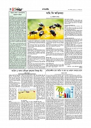 সম্পাদকীয় 