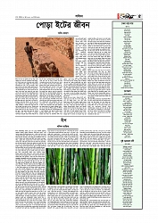 সাহিত্য  