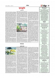 সাহিত্য  