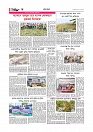 গ্রাম বাংলা