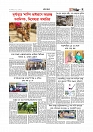 গ্রাম বাংলা