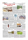 গ্রাম বাংলা  