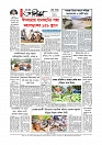 শেষ পাতা
