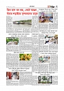 গ্রাম বাংলা 