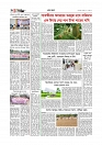 গ্রাম বাংলা  